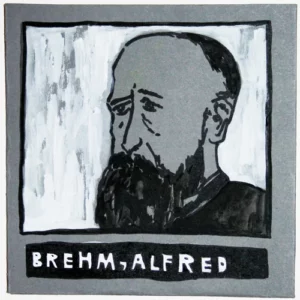 Artist Portrait Illustration Alfred Brehm