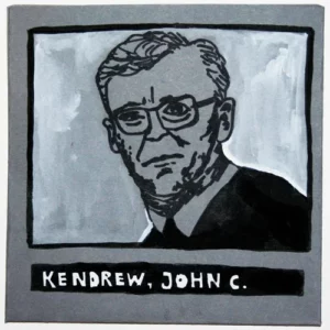 Artist Portrait Illustration John Kendrew