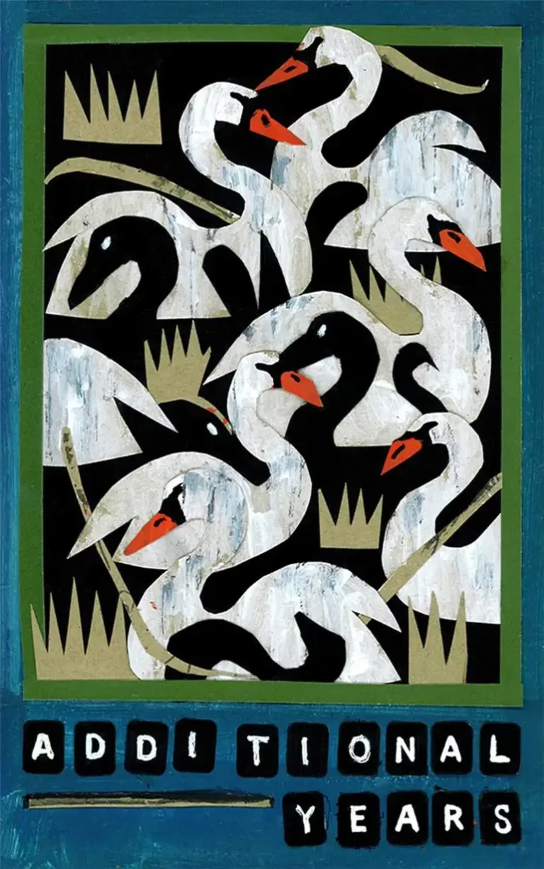 Illustration Papercut Negative Space Swans
